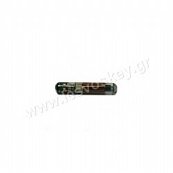 110007 CHIP T7 GLASS
